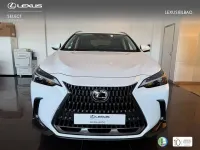 Usado Lexus NX450h+ 306 CV (225 kW) 2025 Blanco SUV