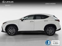 Usado Lexus NX450h+ 306 CV (225 kW) 2025 Blanco SUV