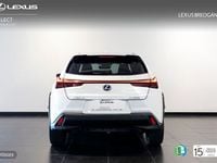 Usado Lexus UX 250h Executive Line 184 CV (135 kW) 2020 Blanco SUV