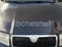 Usado Skoda Fabia Comfort 101 CV (74 kW) 2007 Negro Familiar