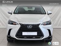 Usado Lexus NX350h 242 CV (177 kW) 2024 Blanco SUV
