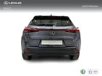 Usado Lexus UX 198 CV (145 kW) 2024 Gris SUV