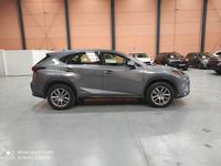 Usado Lexus NX300h 197 CV (144 kW) 2021 Gris SUV