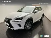 Usado Lexus NX300h Business Edition 197 CV (144 kW) 2020 Blanco SUV