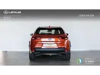 Usado Lexus UX 250h Business Edition 184 CV (135 kW) 2022 Naranja SUV