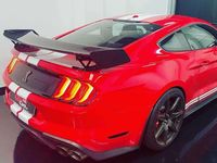Usado Ford Mustang 760 CV (558 kW) 2021 Rojo Coupe