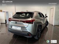 Usado Lexus UX 199 CV (146 kW) 2025 Otro SUV
