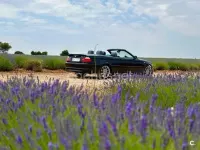 Usado BMW 320 Cabriolet 170 CV (125 kW) 2003 Negro Descapotable