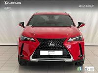 Usado Lexus UX 250h 186 CV (136 kW) 2023 Rojo SUV