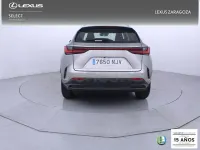 Usado Lexus NX350h 197 CV (144 kW) 2026 Gris / plata SUV