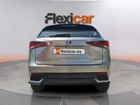 Usado Lexus NX300h Business Edition 197 CV (144 kW) 2020 Gris SUV