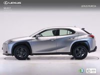 usado Lexus UX 300e Business