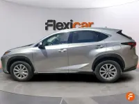 Usado Lexus NX300h Business Edition 197 CV (144 kW) 2020 Gris SUV