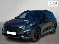 Usado Ford Kuga ST-Line 190 CV (139 kW) 2023 Azul SUV