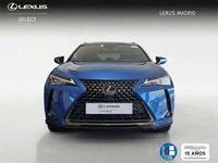 Usado Lexus UX 300e Business Edition 150 kW (204 CV) 2021 Azul SUV