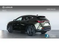 Usado Lexus NX450h+ 309 CV (227 kW) 2025 Verde SUV