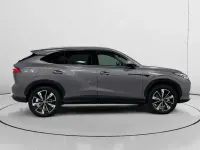 Usado MG HS Luxury 170 CV (125 kW) 2025 Blanco SUV
