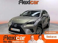 Usado Lexus NX300h Business Edition 197 CV (144 kW) 2018 Gris SUV