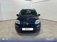 usado Fiat Panda 1 2 51kw 69cv Easy Azul