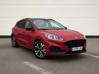 Usado Ford Kuga ST-Line X 190 CV (139 kW) 2020 SUV