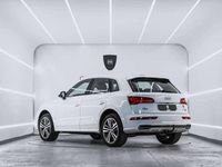 Usado Audi Q5 S-Line 163 CV (119 kW) 2019 Blanco SUV