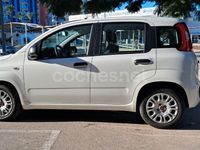 Usado Fiat Panda 70 CV (51 kW) 2022 Blanco Berlina