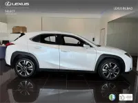 Usado Lexus UX 250h 184 CV (135 kW) 2022 Blanco SUV