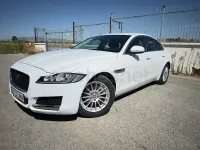 Usado Jaguar XF Pure 180 CV (132 kW) 2016 Blanco Berlina