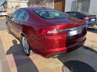 Usado Jaguar XF 416 CV (305 kW) 2008 Granate Berlina