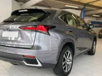 Usado Lexus NX300h Business Edition 197 CV (144 kW) 2019 Gris / plata SUV