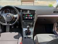 Usado VW Golf VIII Advance 131 CV (96 kW) 2020 Gris Utilitario