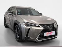 Usado Lexus UX 199 CV (146 kW) 2025 Gris / plata SUV
