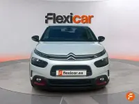 Usado Citroën C4 Cactus Feel 110 CV (80 kW) 2018 Blanco Utilitario