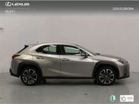 usado Lexus UX 250h Premium 2WD