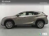 Usado Lexus NX300h Executive Line 197 CV (144 kW) 2014 Gris / plata SUV