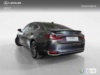 Usado Lexus ES300 218 CV (160 kW) 2024 Gris Berlina