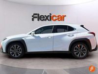 Usado Lexus UX 250h Sport Line 184 CV (135 kW) 2019 Blanco SUV