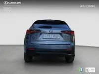 Usado Lexus NX300h Sport Line 197 CV (144 kW) 2018 Gris / plata SUV