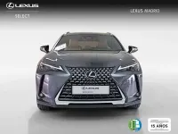Usado Lexus UX 300h 199 CV (146 kW) 2025 Gris SUV