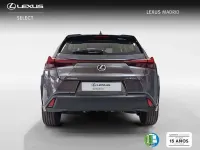 Usado Lexus UX 300h 199 CV (146 kW) 2025 Gris SUV