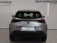 Usado Lexus UX 250h 184 CV (135 kW) 2021 Gris SUV