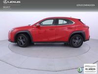 Usado Lexus UX 250h Business Edition 184 CV (135 kW) 2022 Rojo SUV