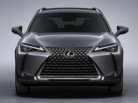 Usado Lexus UX 250h Business Edition 184 CV (135 kW) 2021 Gris SUV