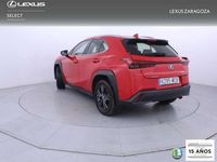 Usado Lexus UX 250h Business Edition 184 CV (135 kW) 2022 Rojo SUV