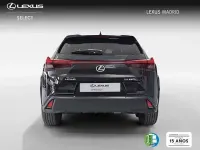 Usado Lexus UX 183 CV (134 kW) 2020 Negro SUV