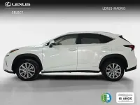 Usado Lexus NX300h Business Edition 197 CV (144 kW) 2019 Blanco SUV