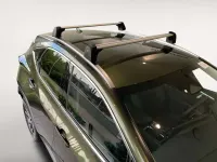 Nuevo Lexus NX450h+ 306 CV (225 kW) 2025 Verde SUV