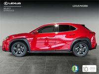 Usado Lexus UX Business Edition 184 CV (135 kW) 2020 SUV
