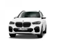 Usado BMW X5 265 CV (194 kW) 2019 SUV