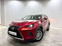 Usado Lexus NX300h Business Edition 197 CV (144 kW) 2020 Burdeos SUV